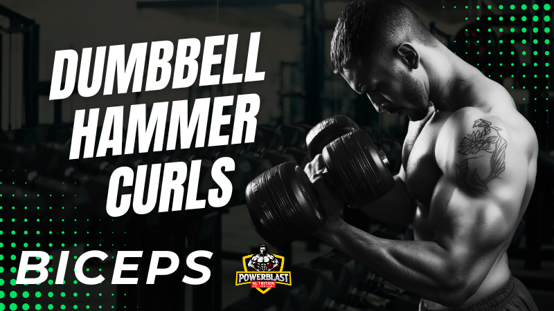 Dumbbell Hammer Curls